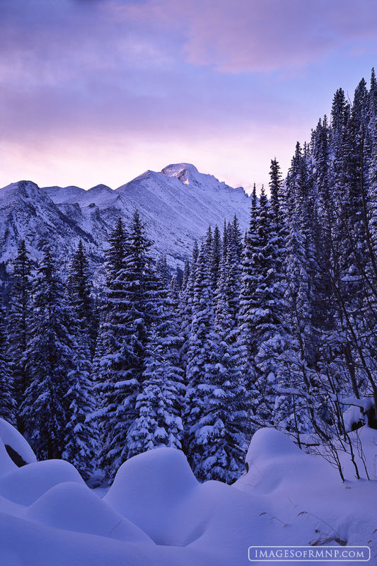 Snowy Sunrise on Longs print