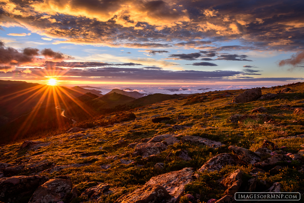 Following several days of near constant rain, the sun finally appeared through the clouds with its warmth and sense of hope....