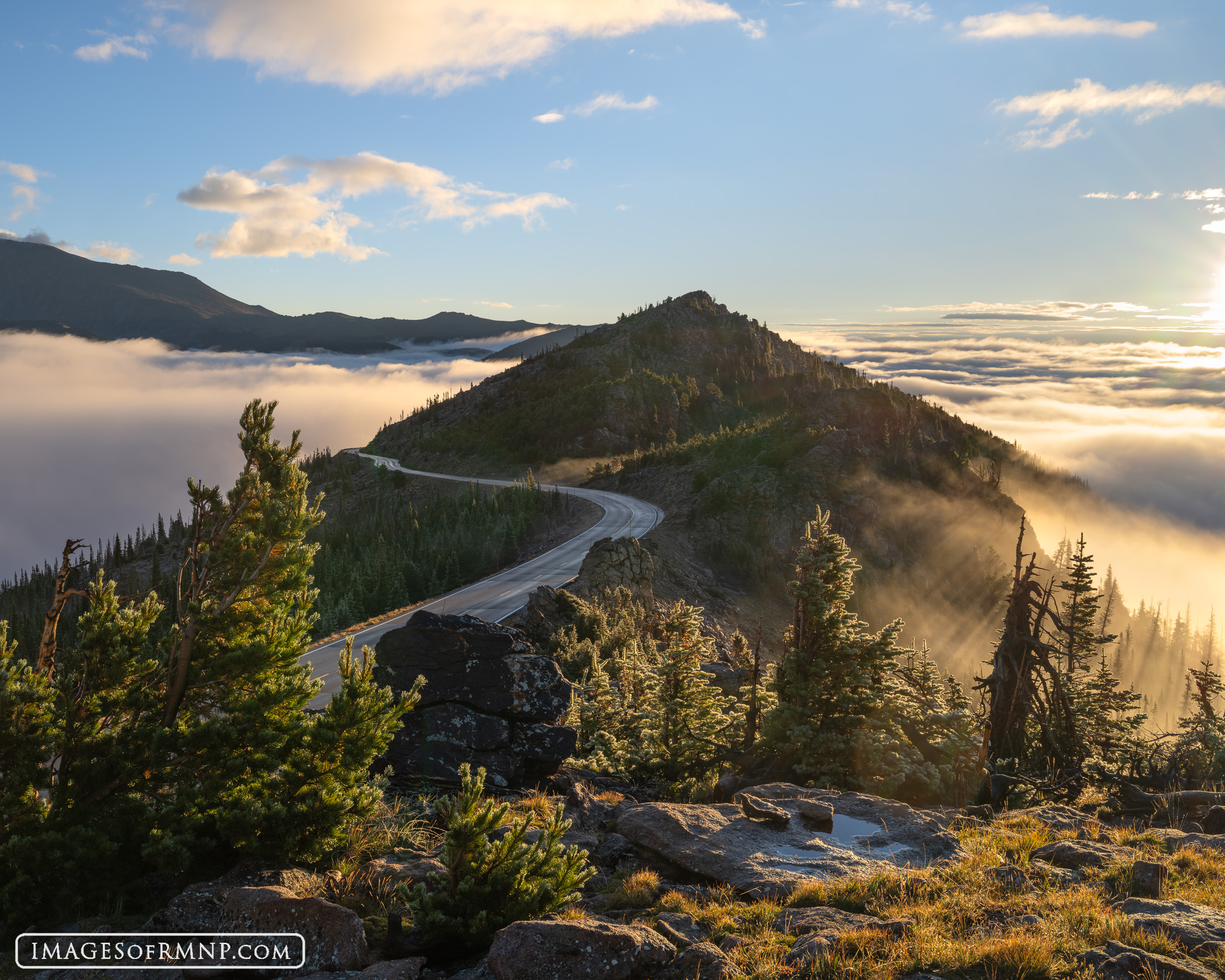 This small peak looks out at a sea of clouds as the sun finally breaks free of their hold. Here at tree line the trees and plants...