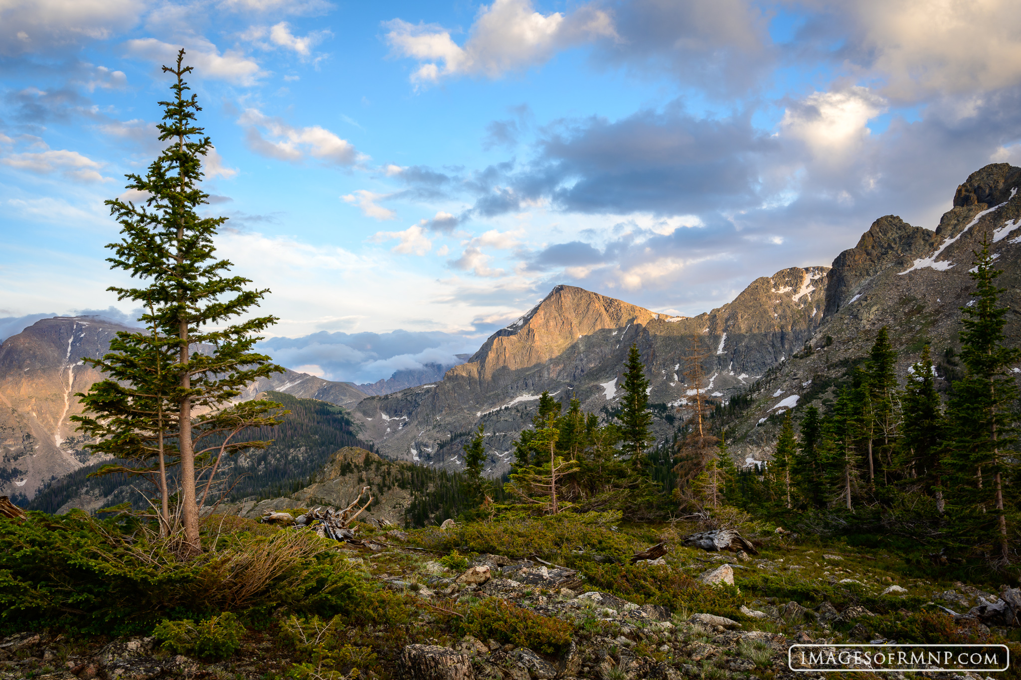 Much of this day was spent exploring, wandering through deep forest, visiting small alpine tarns, climbing to the top of mountains...