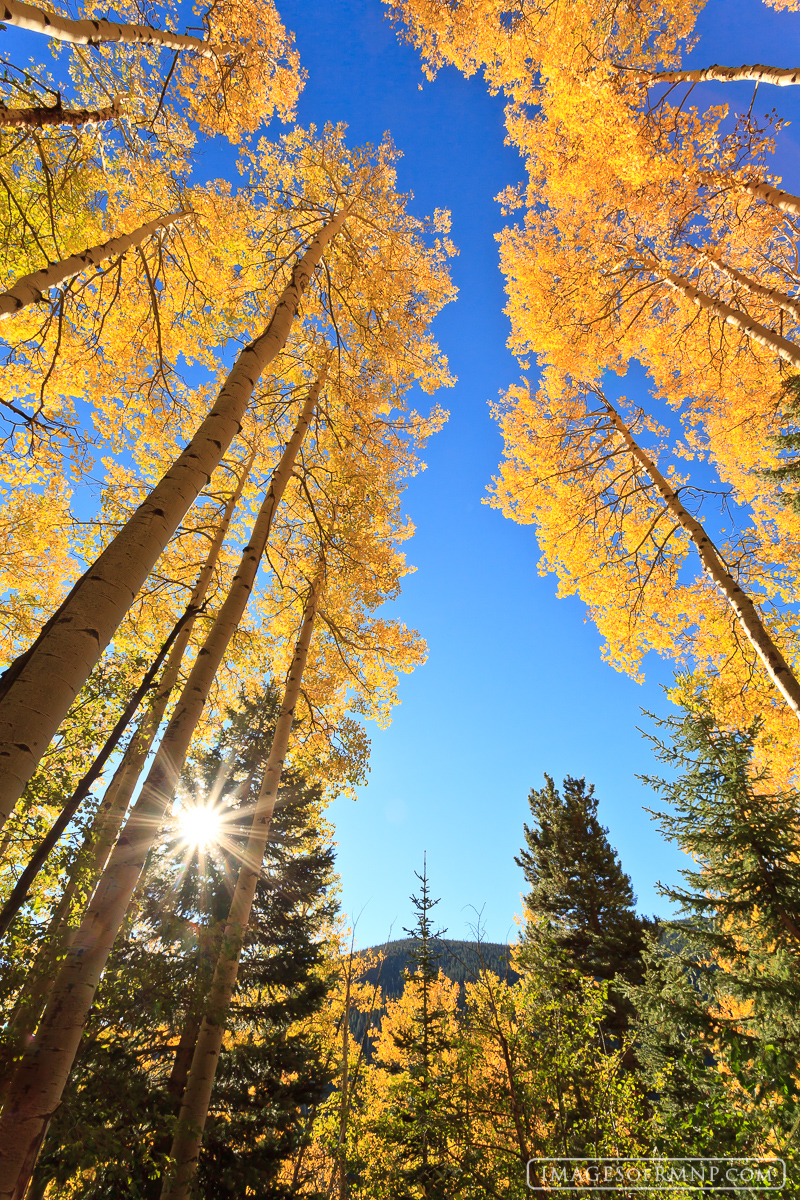 This morning I was out playing in the aspen groves of Rocky Mountain National Park. After about 45 minutes of shooting, I lay...