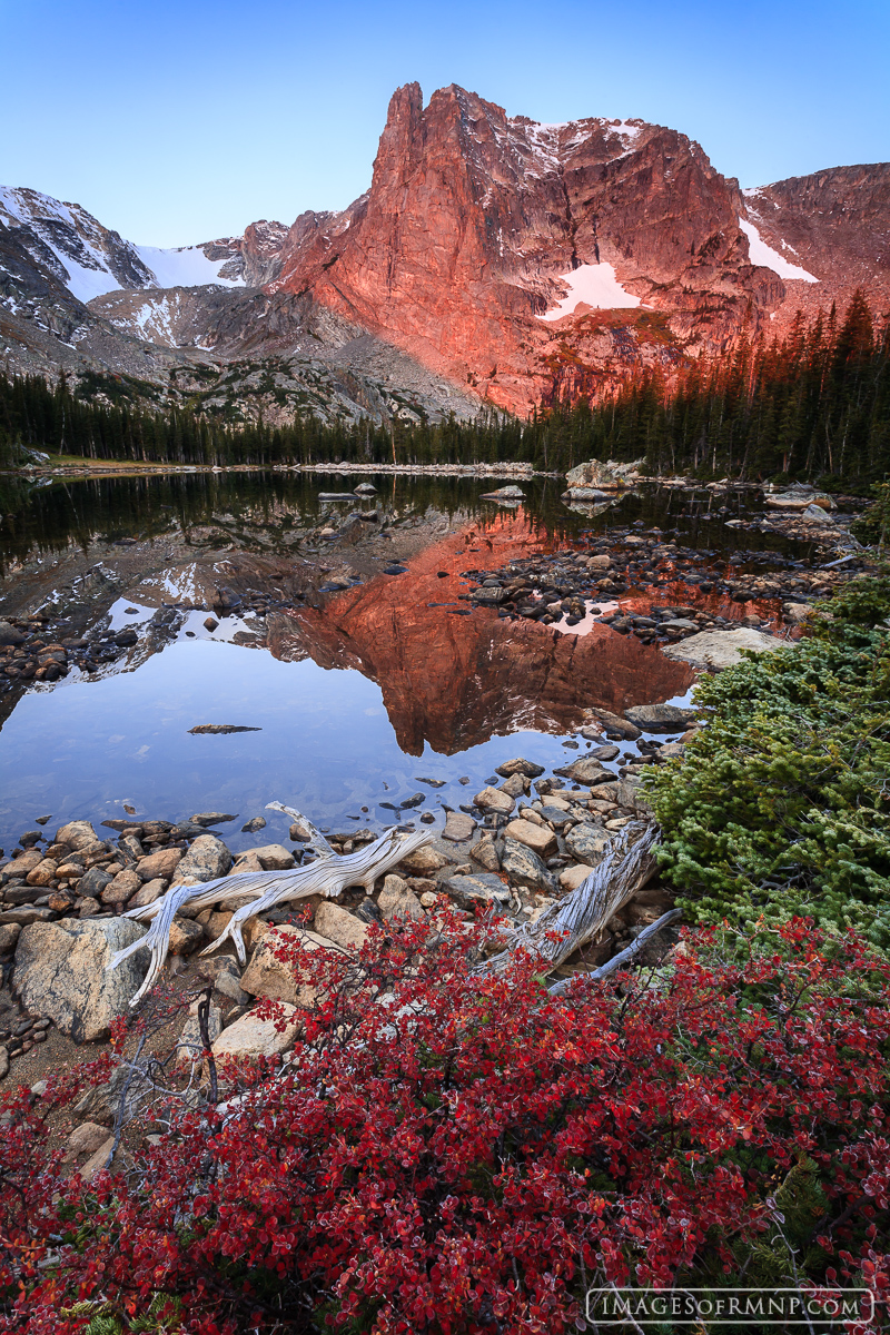 Most people only think of trees as having autumn colors, but many bushes and plants in the high alpine areas are just as colorful...