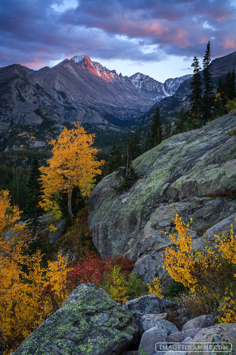 On this evening I arrived to photograph the fall colors, only to find that all the leaves had been blown off the trees. After...