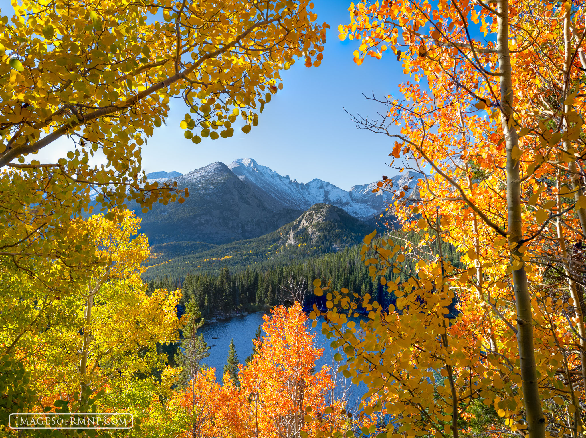 The first snow of the season has coated Longs Peak and the high country with a beautiful layer of fluffy snow, while down below...