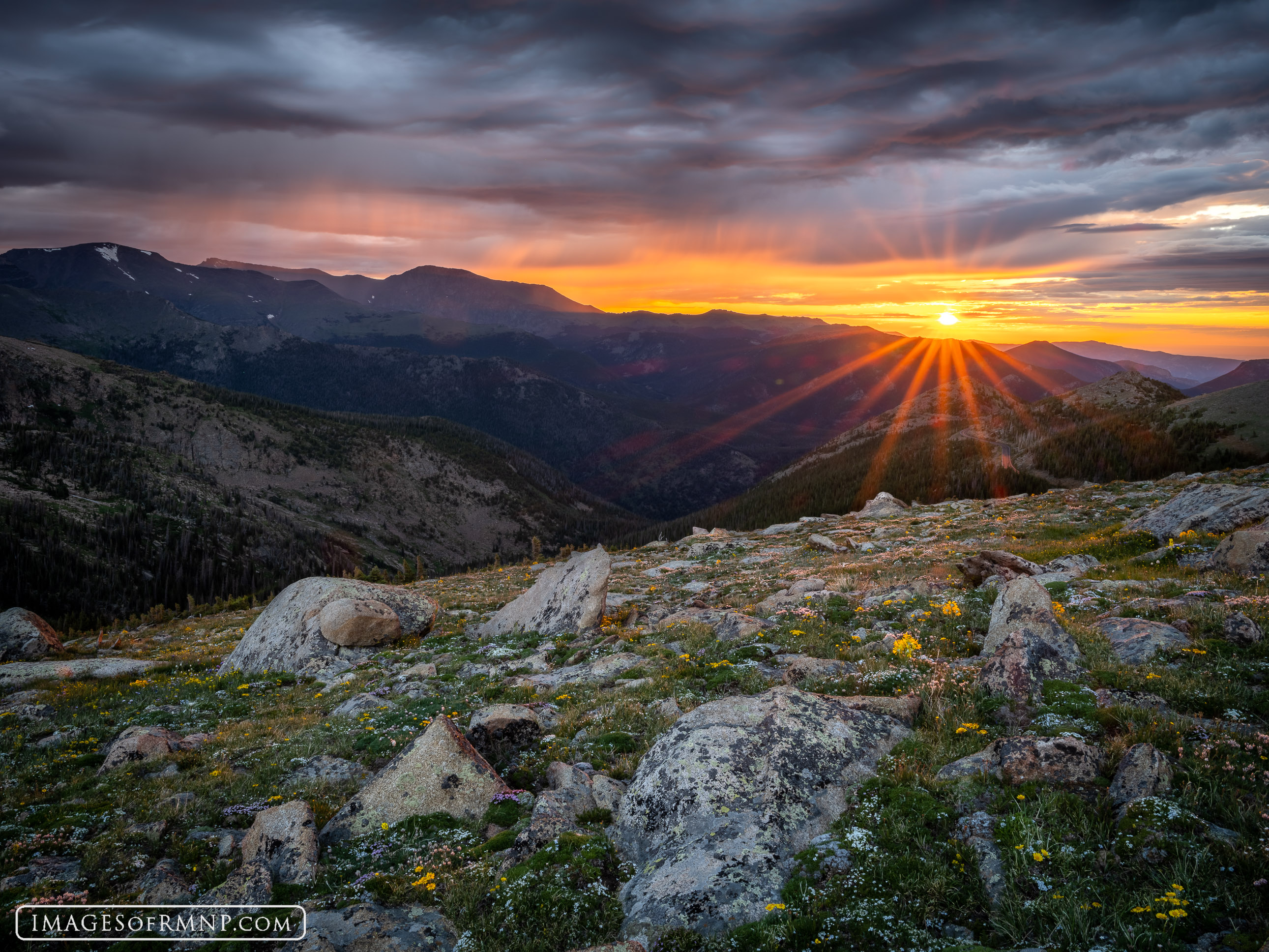 A new day of beauty dawns on Rocky Mountain National Park. The tundra is bursting with flowers as if celebrating each hour of...
