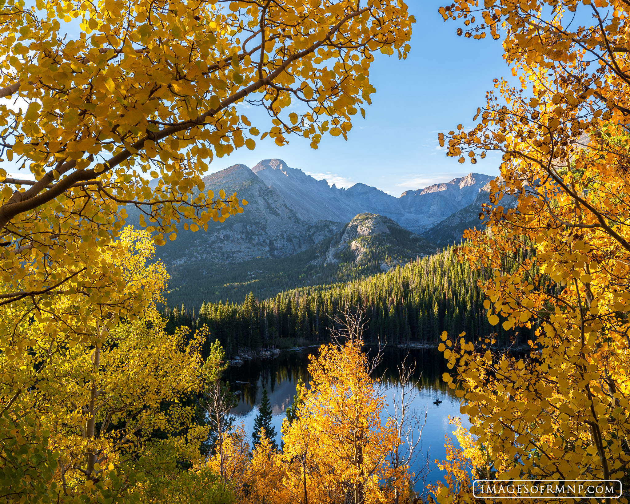 On this perfect September day I marveled at the nearly perfect stillness of the air allowing every golden leaf to stand still...