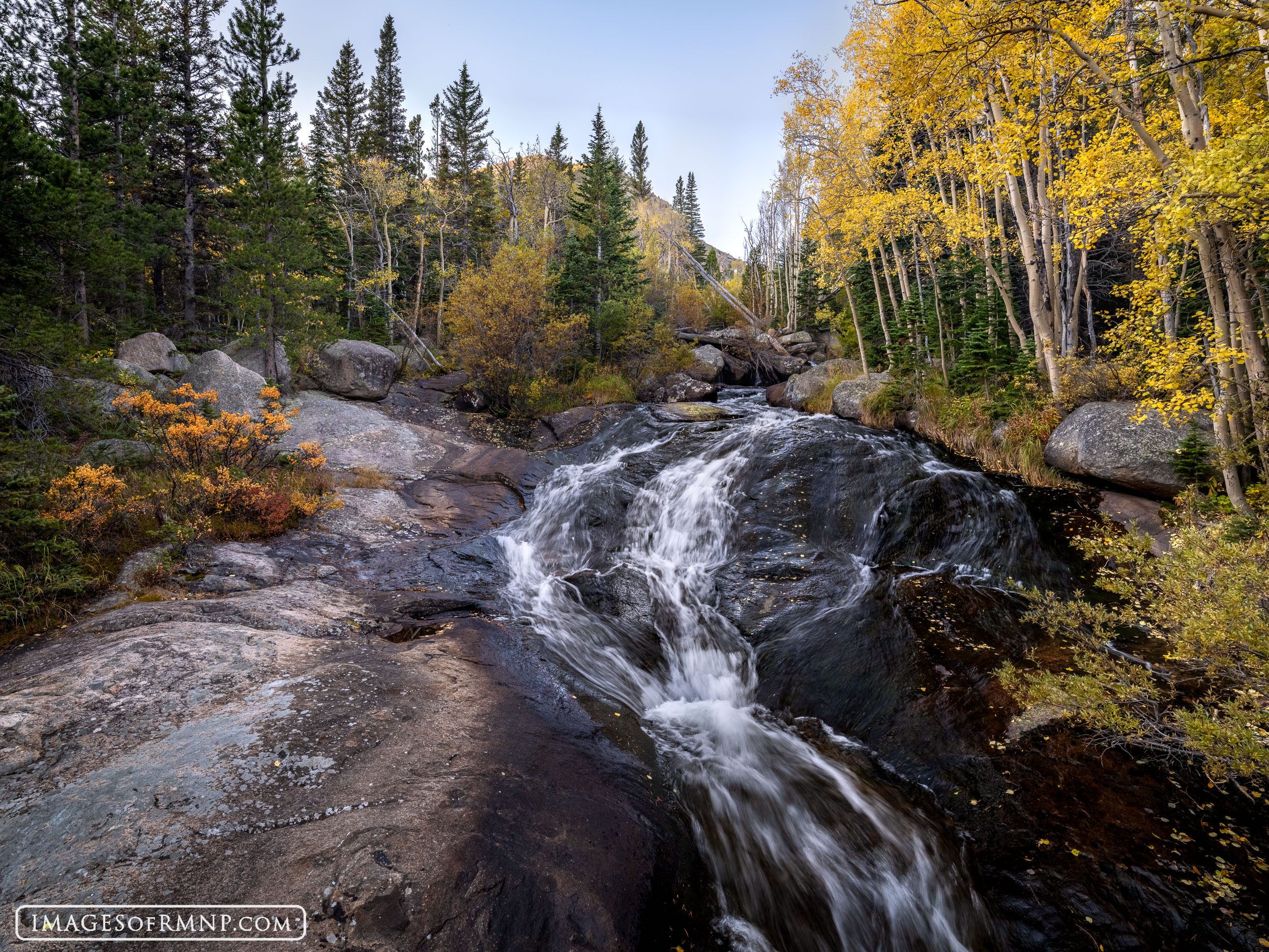 Wandering through the forest I came across this delightful autumn scene. It was so colorful and peaceful. The sound of rushing...