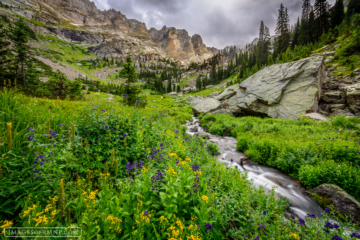 On a summer day, I hiked up to this spectacular location deep in the backcountry of Rocky Mountain National Park to see whether...