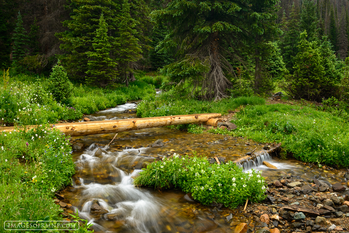 This bridge lies on the trail to Thunder Pass in the Never Summer Mountains of Rocky Mountain National Park. It had just rained...