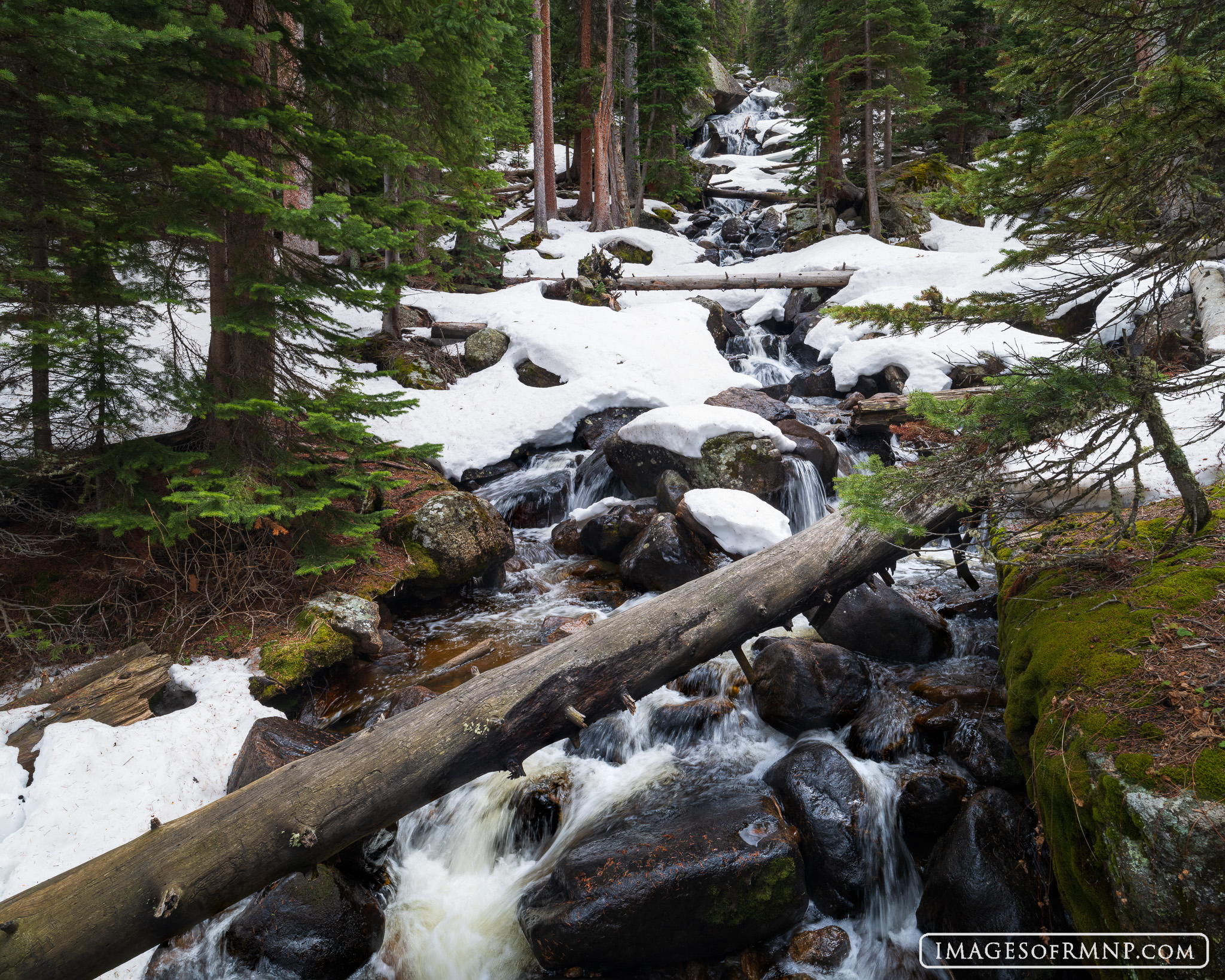 As spring progresses into mid-May the snow begins to part and reveal the roaring water of Cony Creek pouring down Calypso Cascades...