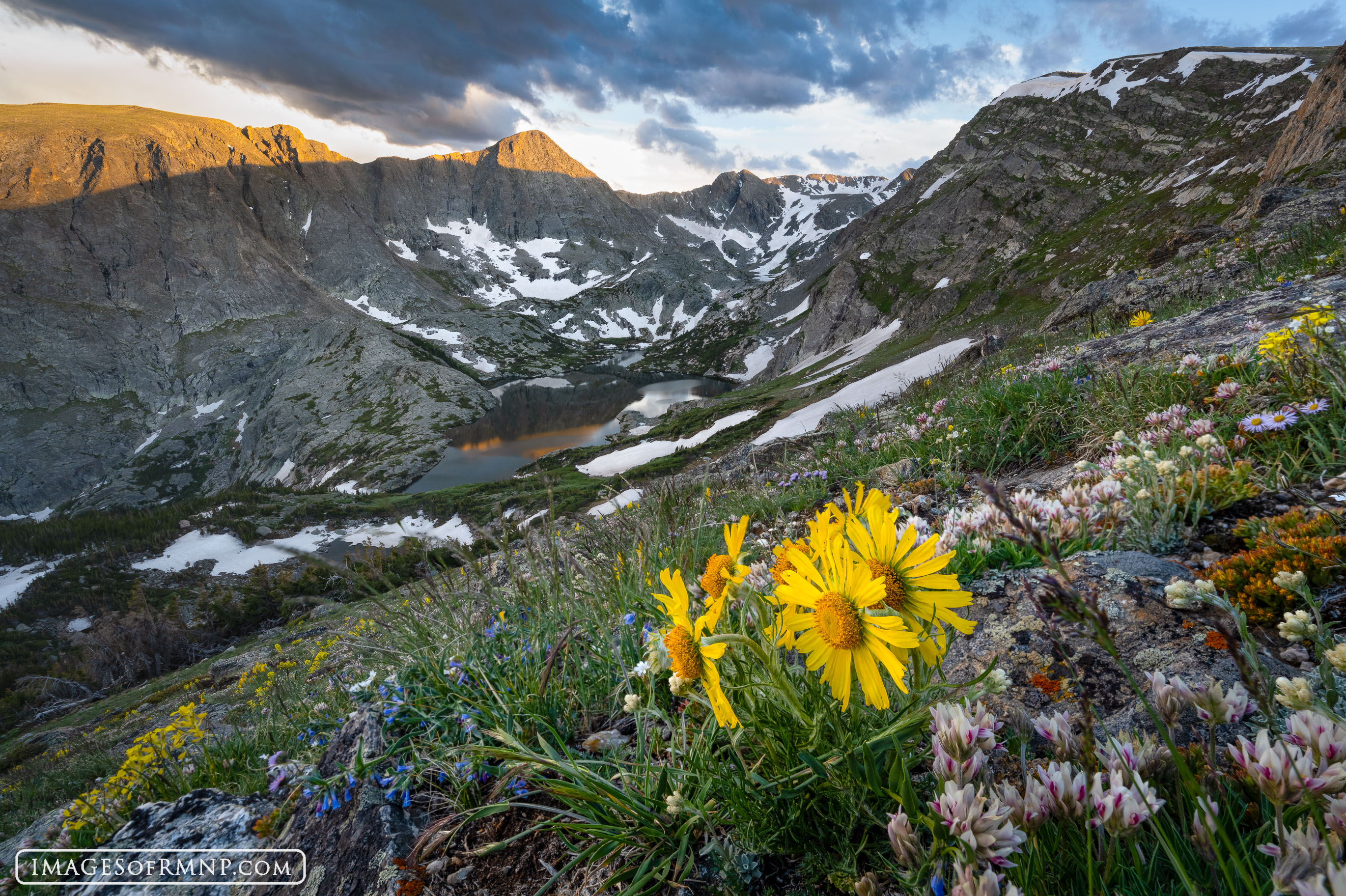 July in the backcountry of Rocky Mountain National Park is a very special time of year. Large snowbanks still line the sides...