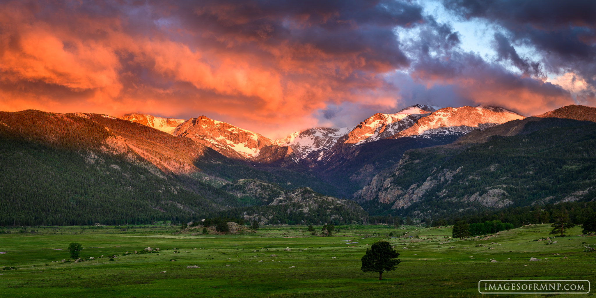 On this morning the sky exploded with color which in turn made the lush green meadow of Moraine Park almost glow. These moments...