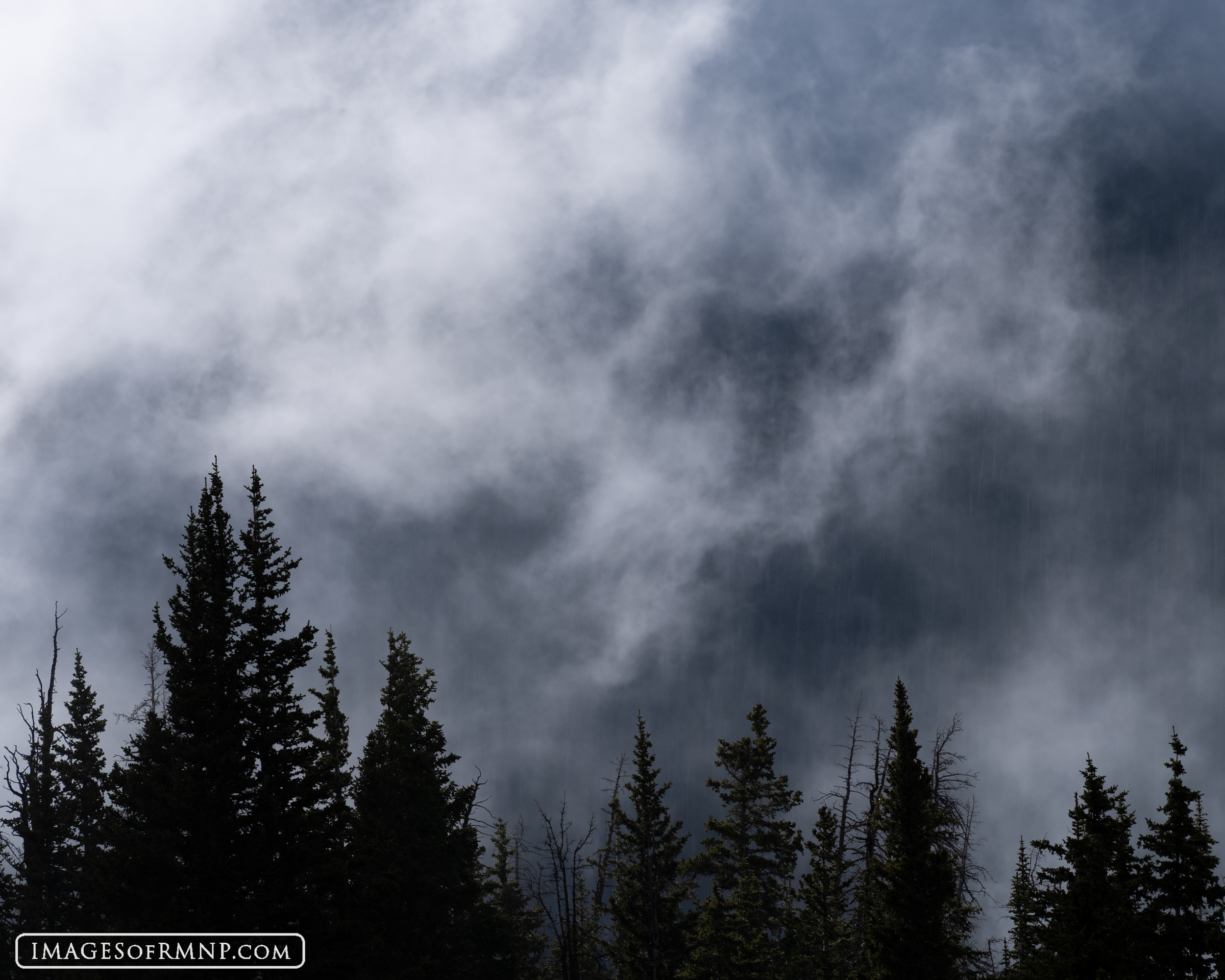 As an afternoon storm swept in to the Cache la Poudre Valley in Rocky Mountain National Park, brightly lit clouds danced through...