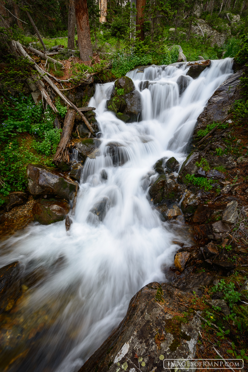 This cascade was just behind my camp site in the Never Summer Mountains of Rocky Mountain National Park, providing a great place...