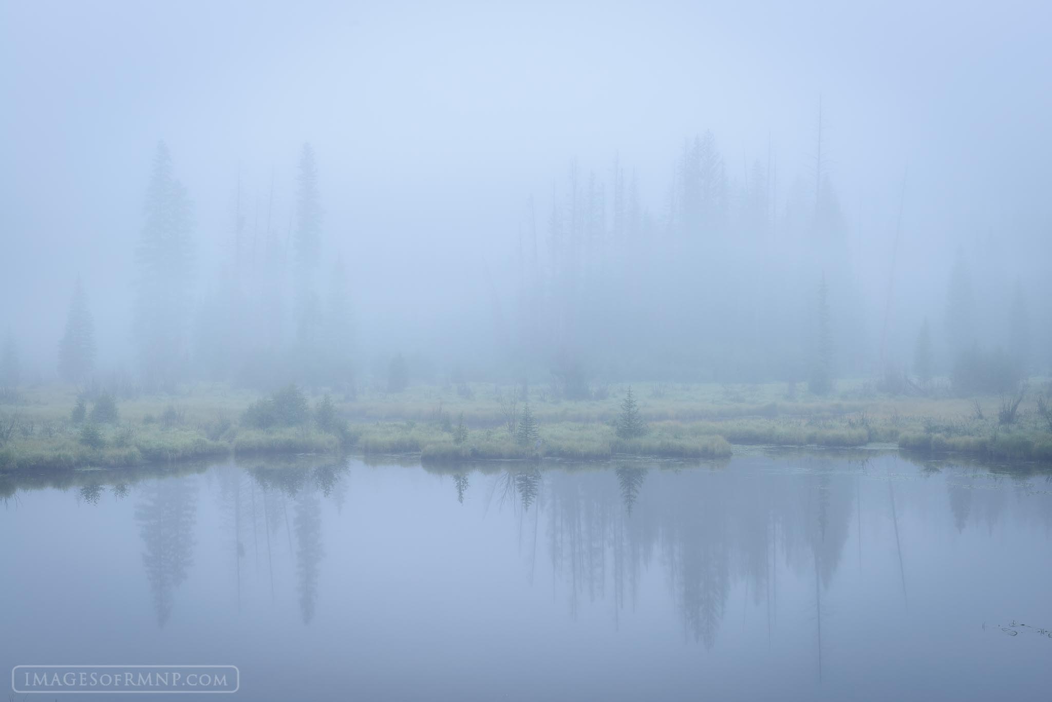 On a perfectly still morning the fog drifted in and out occasionally revealing brief glimpses of the forest on the other side...