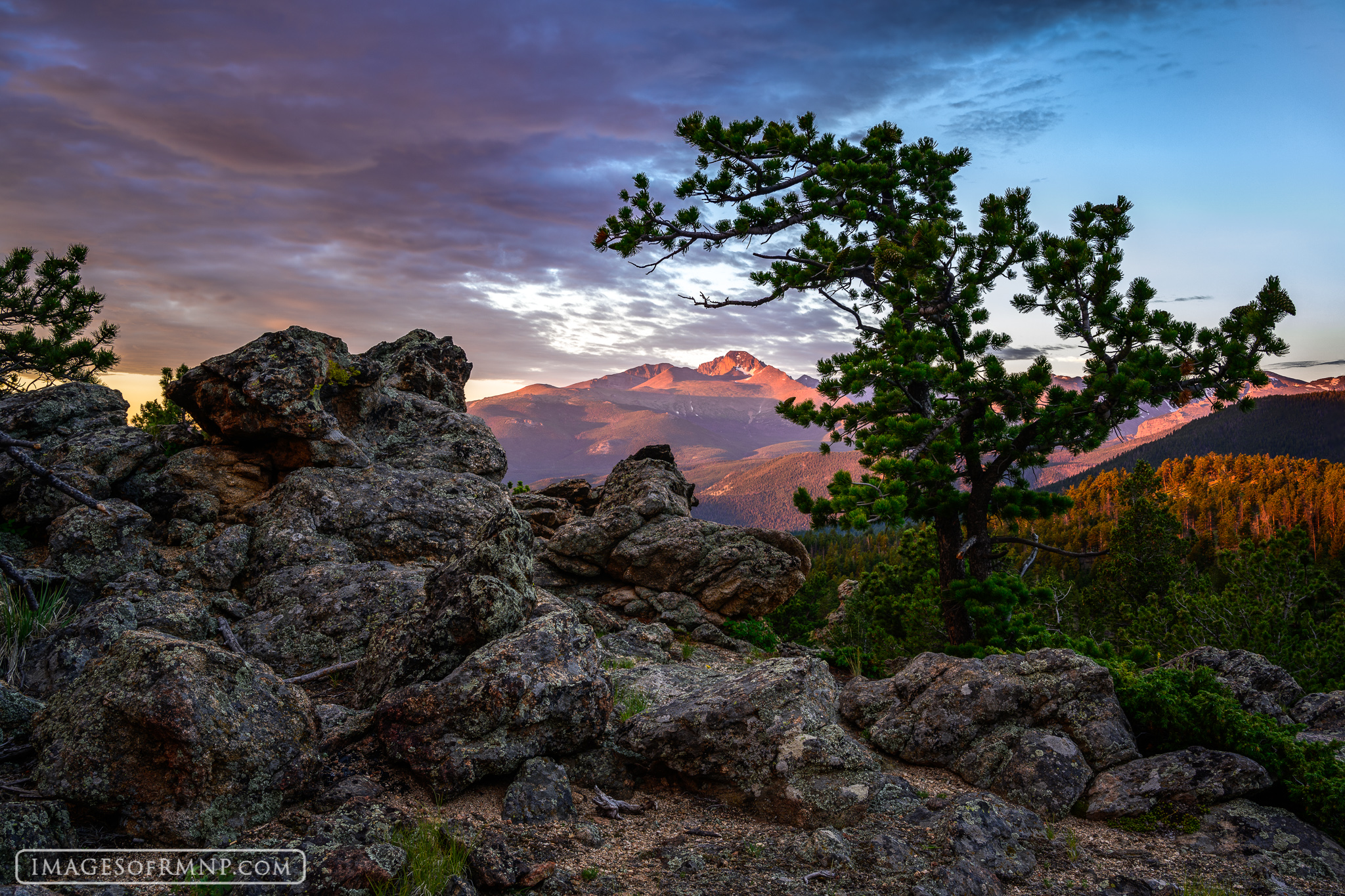 For a few amazing minutes Longs Peak glowed vibrantly with the light of the rising sun and then the world turned back to gray...