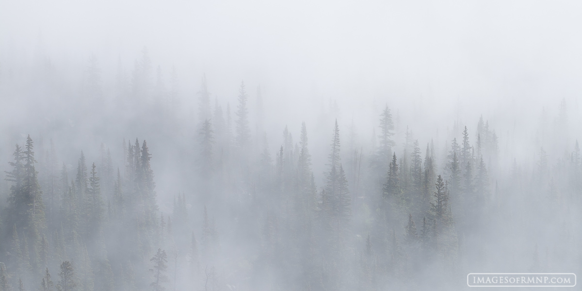I departed early on this rainy morning arriving at Sandbeach Lake only to find the fog so thick that I had to navigate by compass...