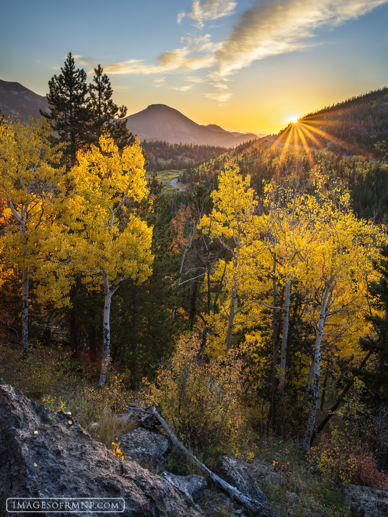 As the rising sun crests the ridgeline, the golden aspen leaves glow brightly welcoming this new day in Rocky Mountain National...
