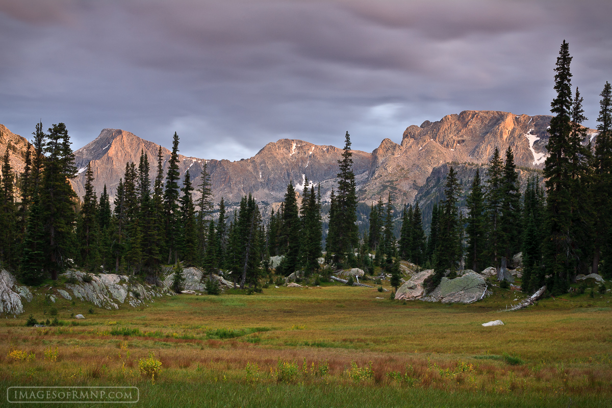 As I stood at the edge of this remote alpine meadow in the heart of Rocky Mountain National Park, the mountains are lit with...