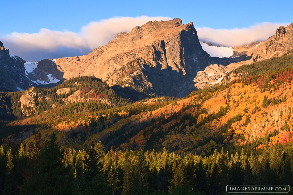 A classic view of Hallett Peak surrounded by yellow aspen at sunrise.