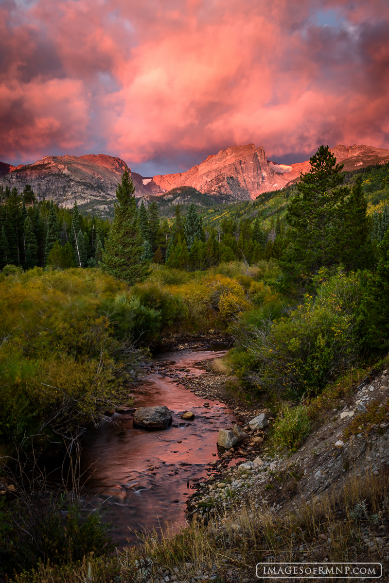 On this morning in early autumn clouds had built up along the Continental Divide and around Hallett Peak as part of an incoming...