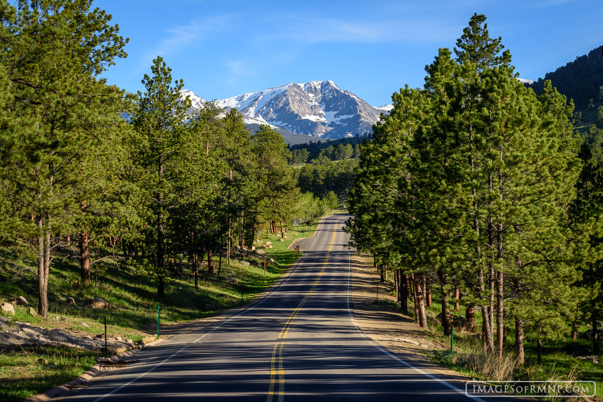 On a delightful spring morning the Bear Lake Road leads the eye directly to Ypsilon Mountain in the northern section of the park...