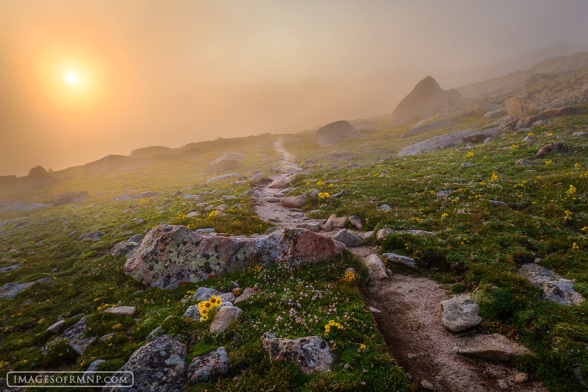 Into the Mystery The path of life twists and turns. It is impossible to anticipate what lies around the next bend. In many ways we are walking...
