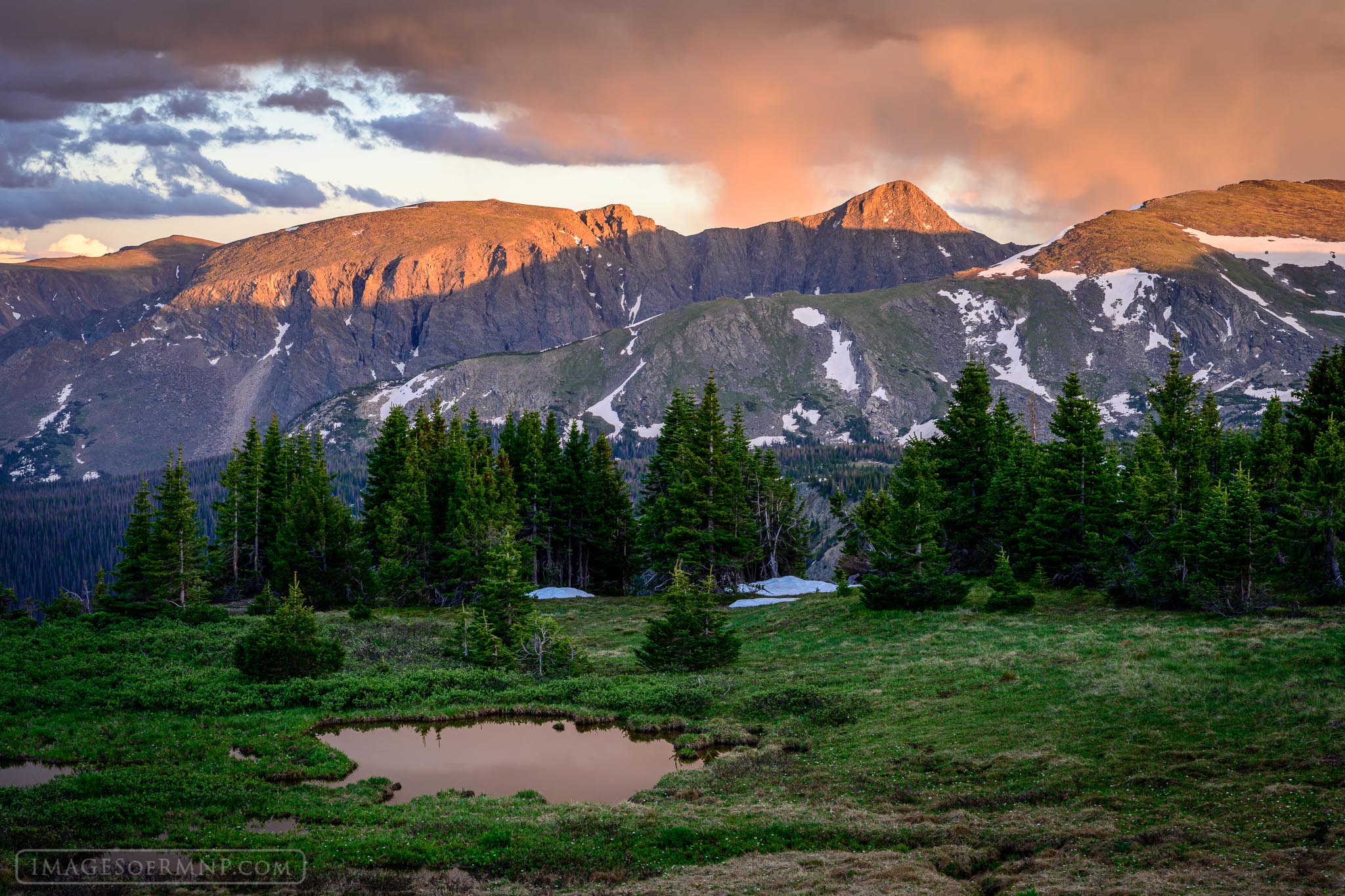 I spent this evening at tree line at the end of a perfect July day. Snow still clung to the peaks and was even to be found in...