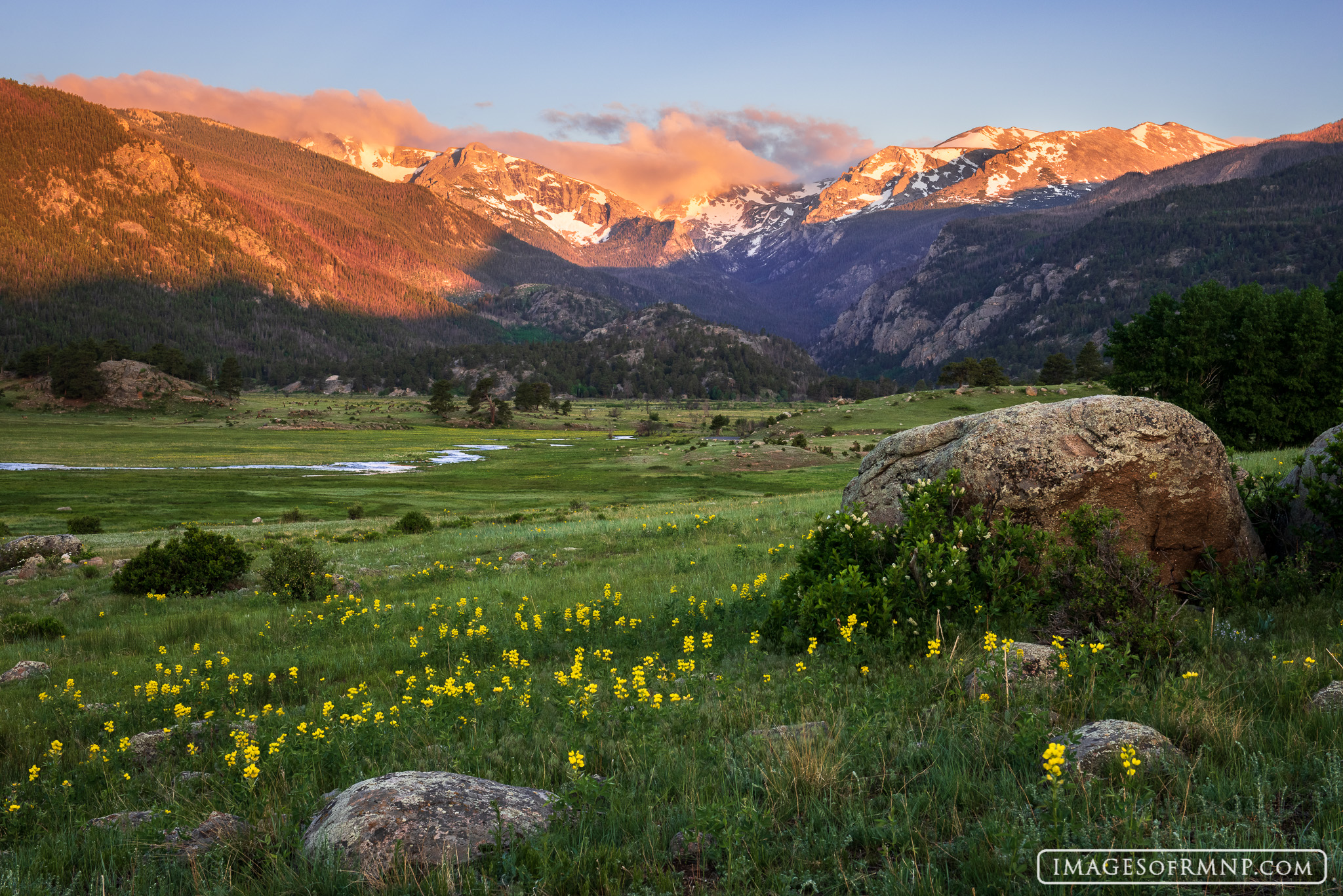 There is perhaps no more beautiful time in Rocky Mountain National Park than the month of June.  This is when flowers begin to...