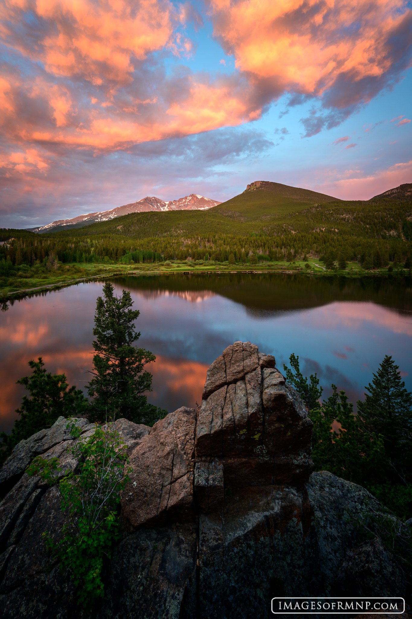 On a magical morning at Lily Lake, the clouds above took on an almost unbelievable pink hue. Eventually Longs Peak joined in...