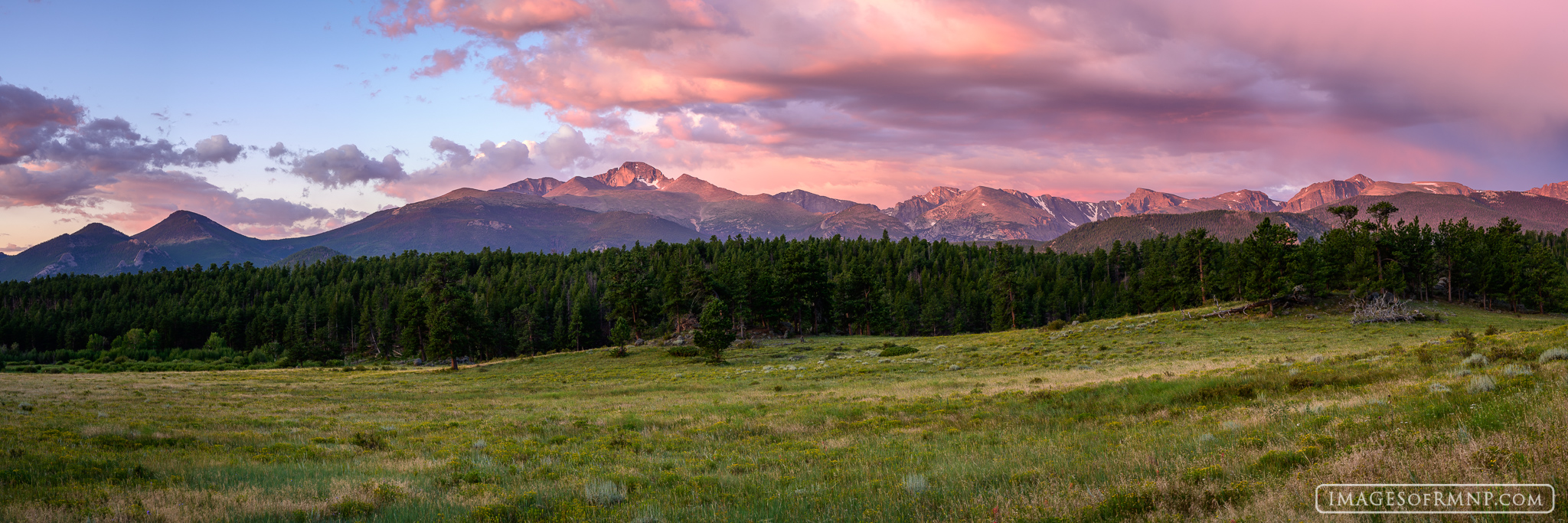 On a warm August morning as the meadow grasses begin to show the first hint of coming autumn, Longs Peak looks out over Rocky...