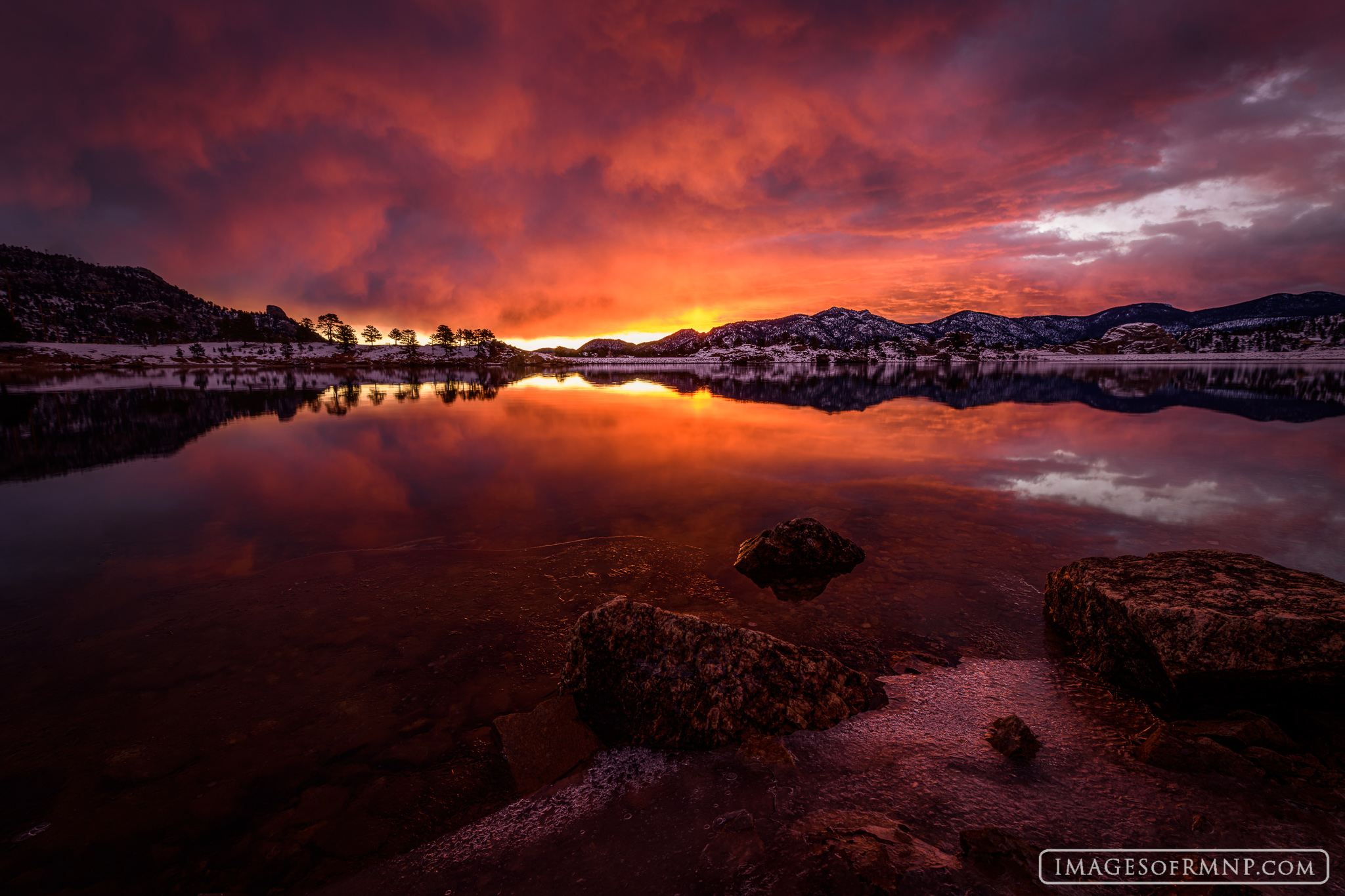 On this March morning as the world raced to start their day something special was happening in the Estes Valley. The morning&...