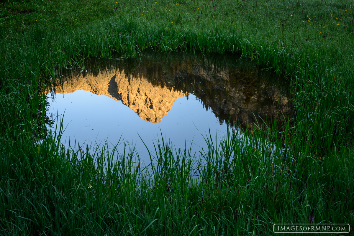 Teepee Mountain in the Never Summer Range of Rocky Mountain National Park reflects in a small alpine tarn.