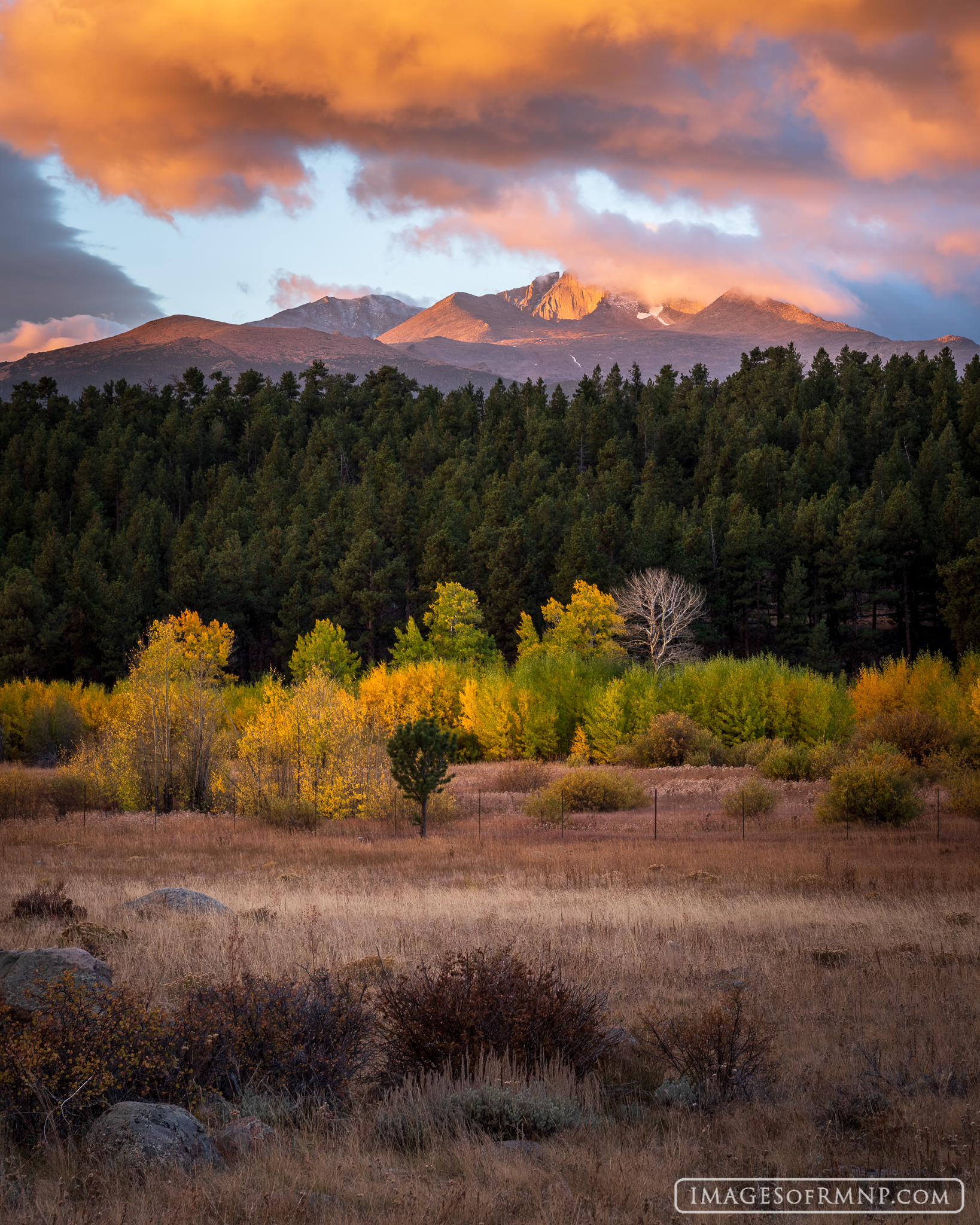 This was one of the best sunrises of the year. In every direction it was magical as the warm light and scattered clouds above...