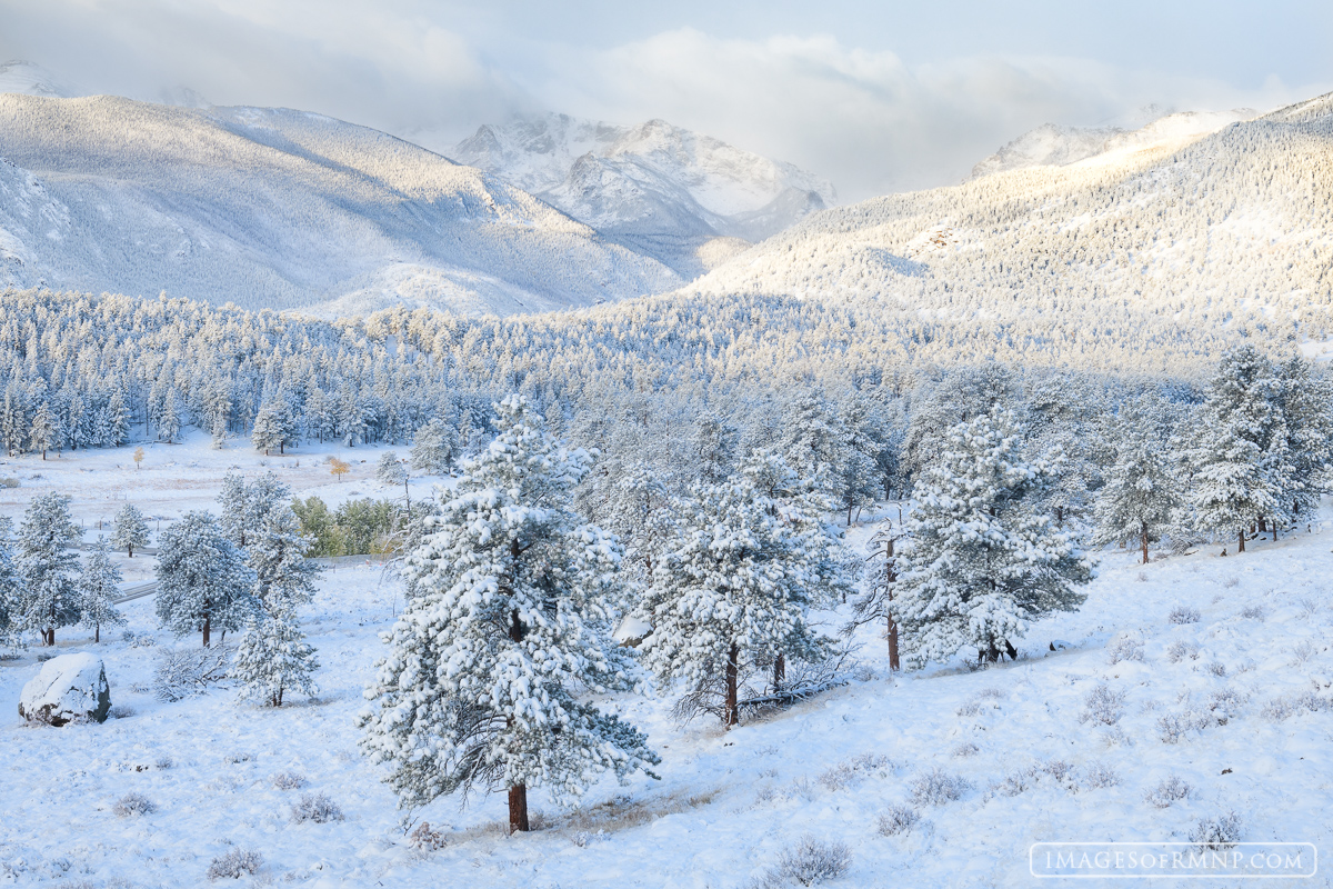 Our first large snowstorm of the year moved in covering all in its fluffy white robe while a few yellow aspen trees in the distance...