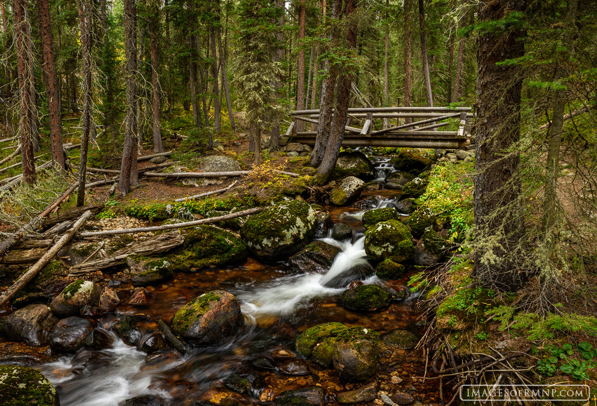 This is the beautiful Onahu Trail on the west side of Rocky Mountain National Park. The trail doesn’t lead to any dramatic...