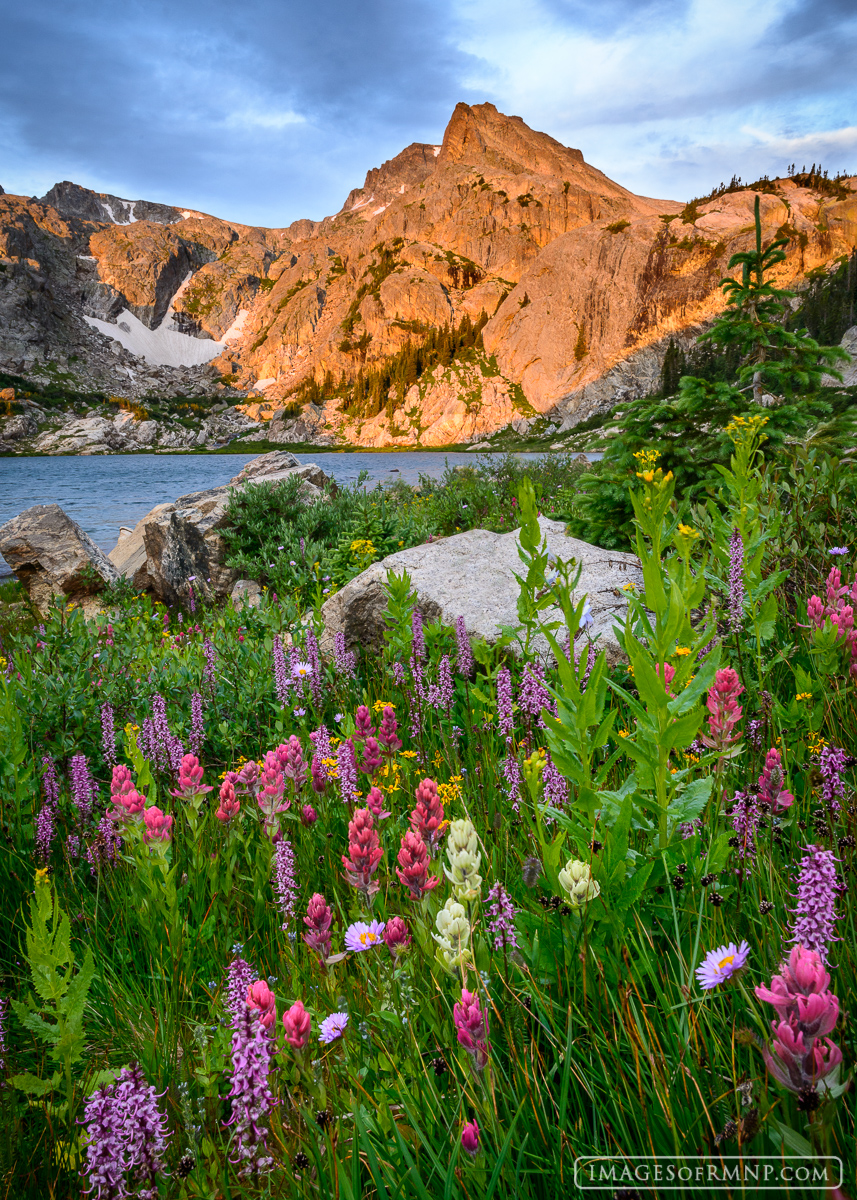 When we think of the ideal mountain scene we typically imagine some combination of water, flowers and mountains. People regularly...