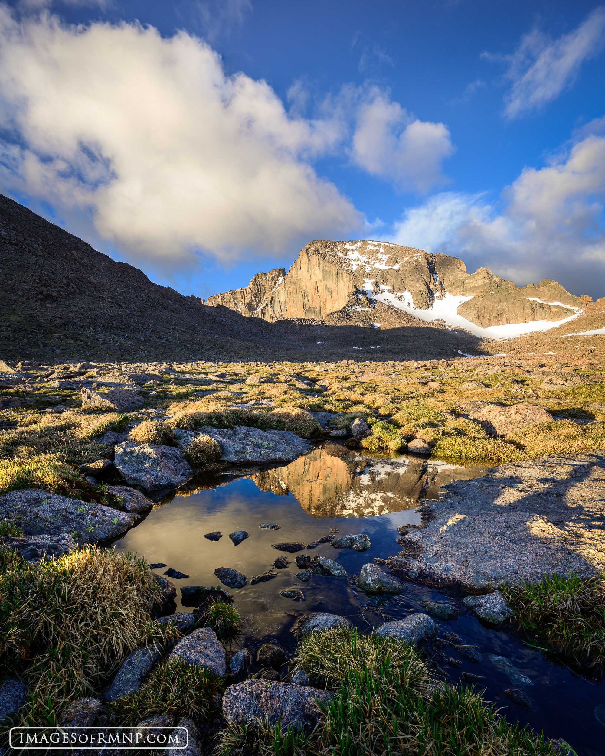 After photographing sunrise on top of Mount Lady Washington, I descended to the Boulderfield. There I found this lovely little...