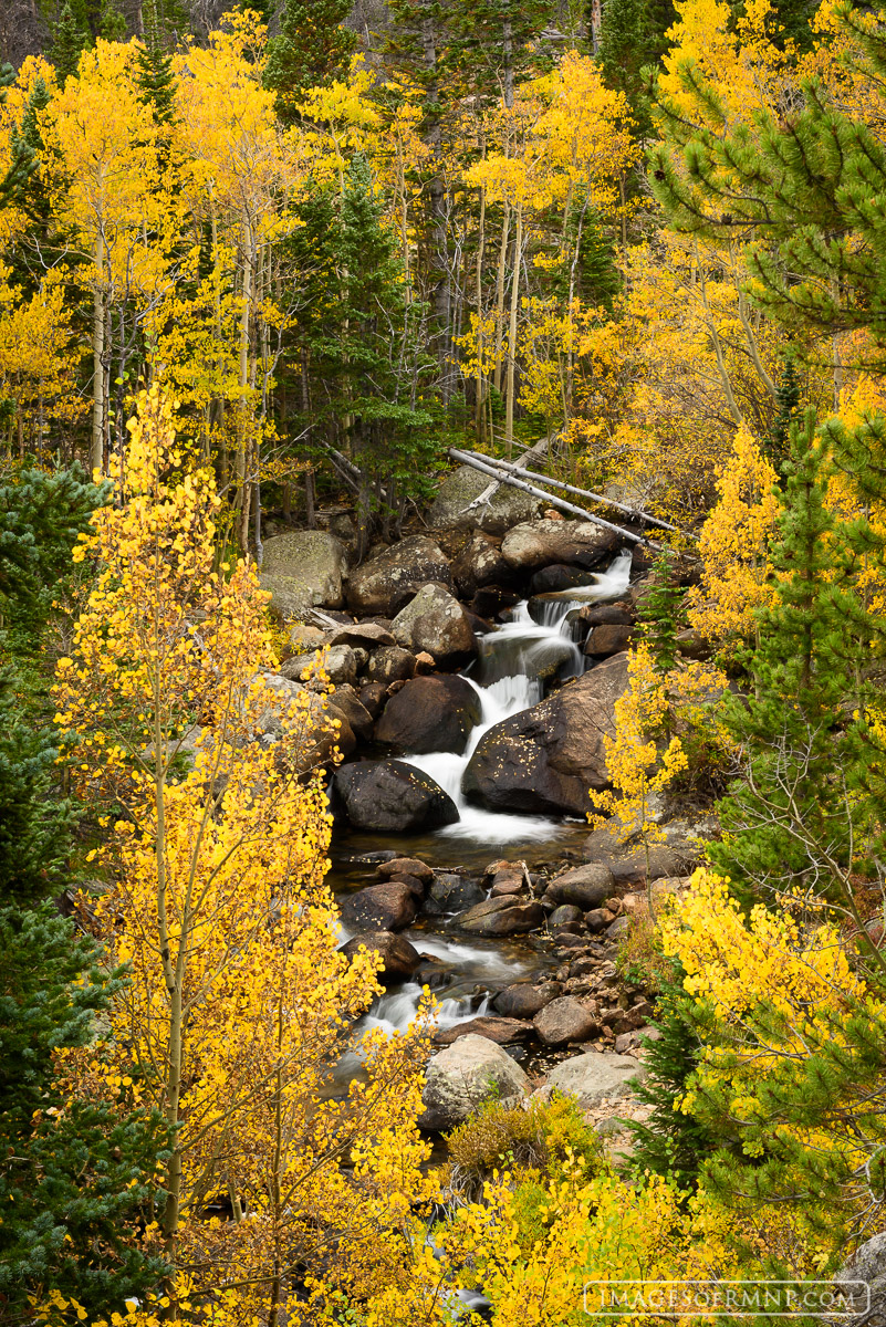 Every Autumn I visit this location along Glacier Creek.  A wonderful mixture of aspen and pine trees beautifully frame part of...