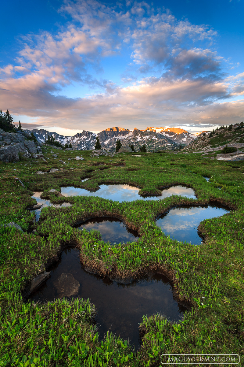 Far beyond the bustle of Bear Lake and Alberta Falls lie many miles of solitude and incredible beauty. Most visitors don't realize...