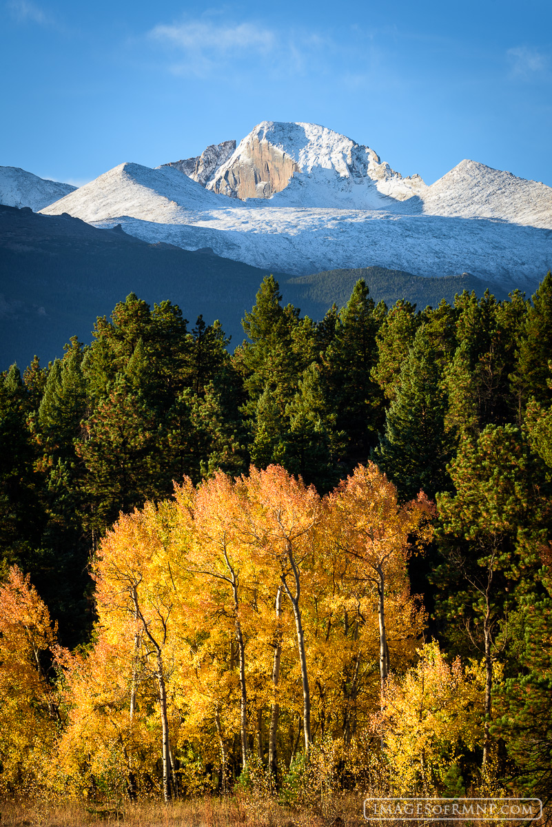 There is perhaps no scene more iconic than Longs Peak covered in a fresh coat of snow with Colorado blue skies above and golden...
