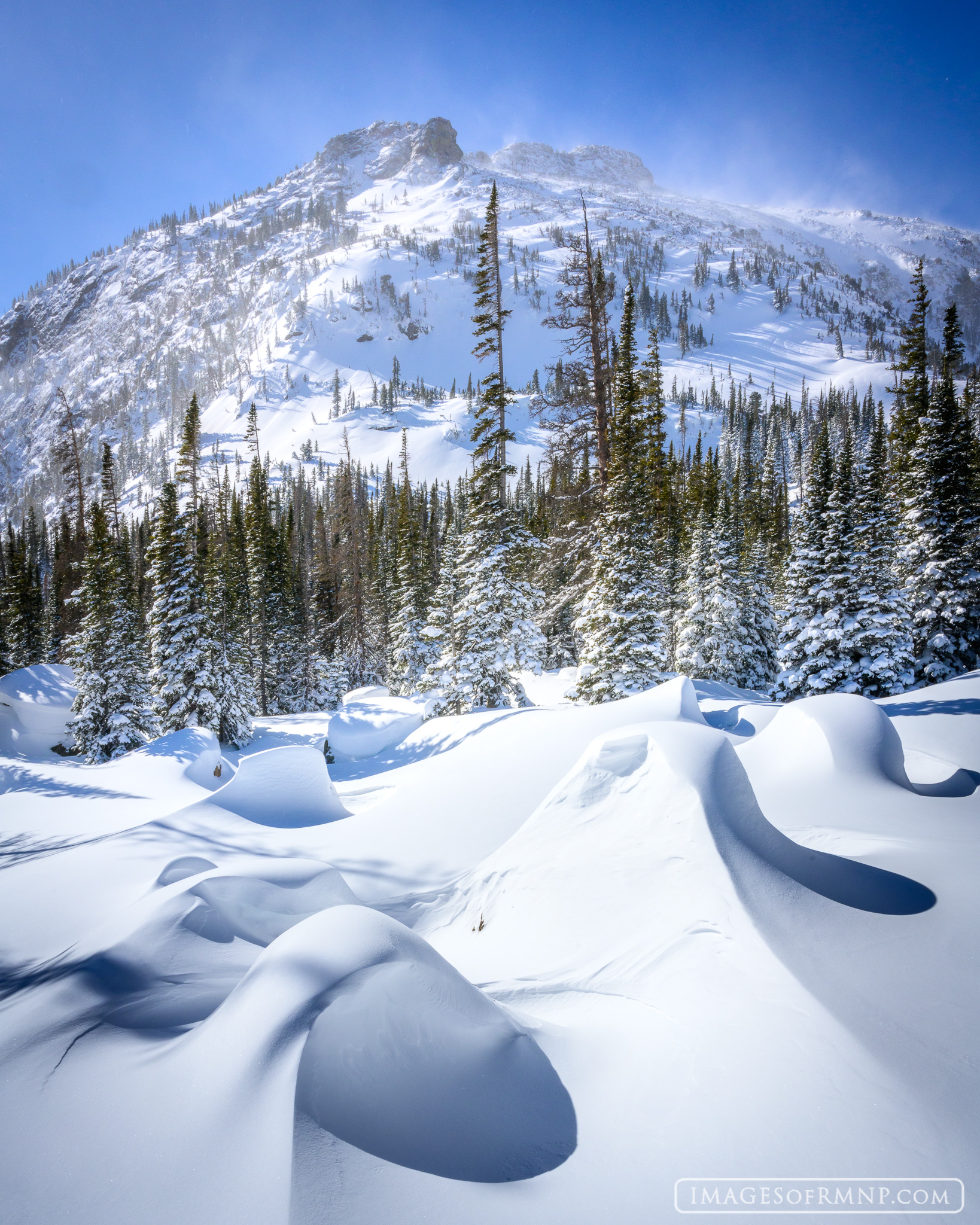 We've had a lot of winter storms this month. They come in, drop a load of snow, and then are followed by howling winds. The combination...