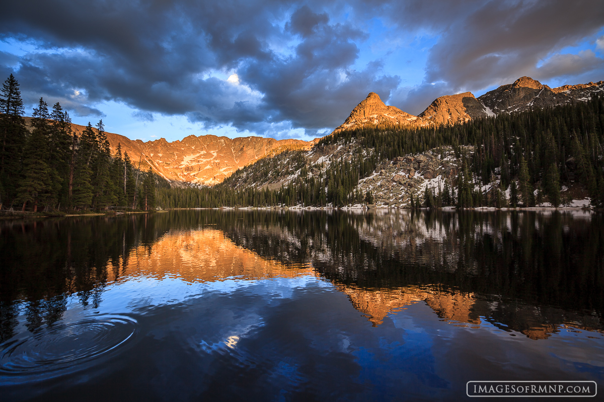 A small fish causes a stir on the still surface of Spirt Lake on a spectacular June evening.