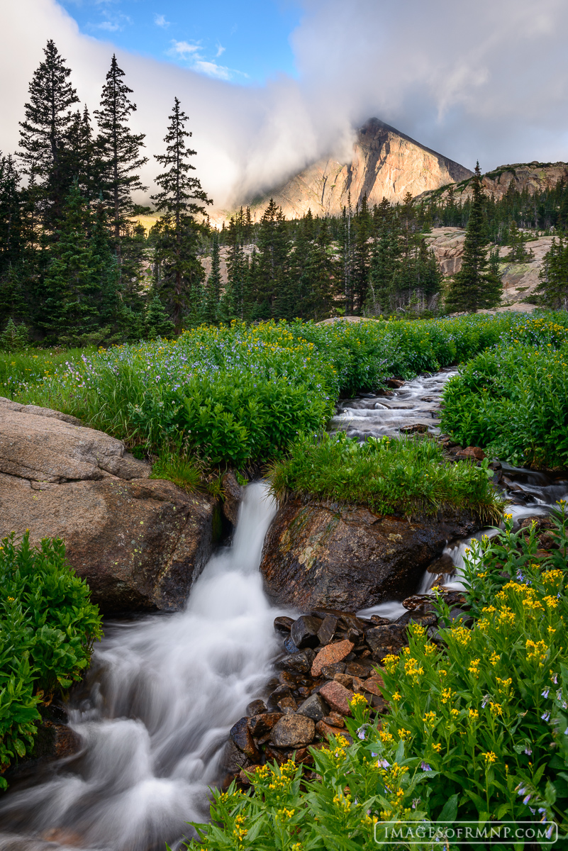 Mount Alice is surrounded by storm clouds while down below a stream wanders through a meadow of wildflowers.  In the background...