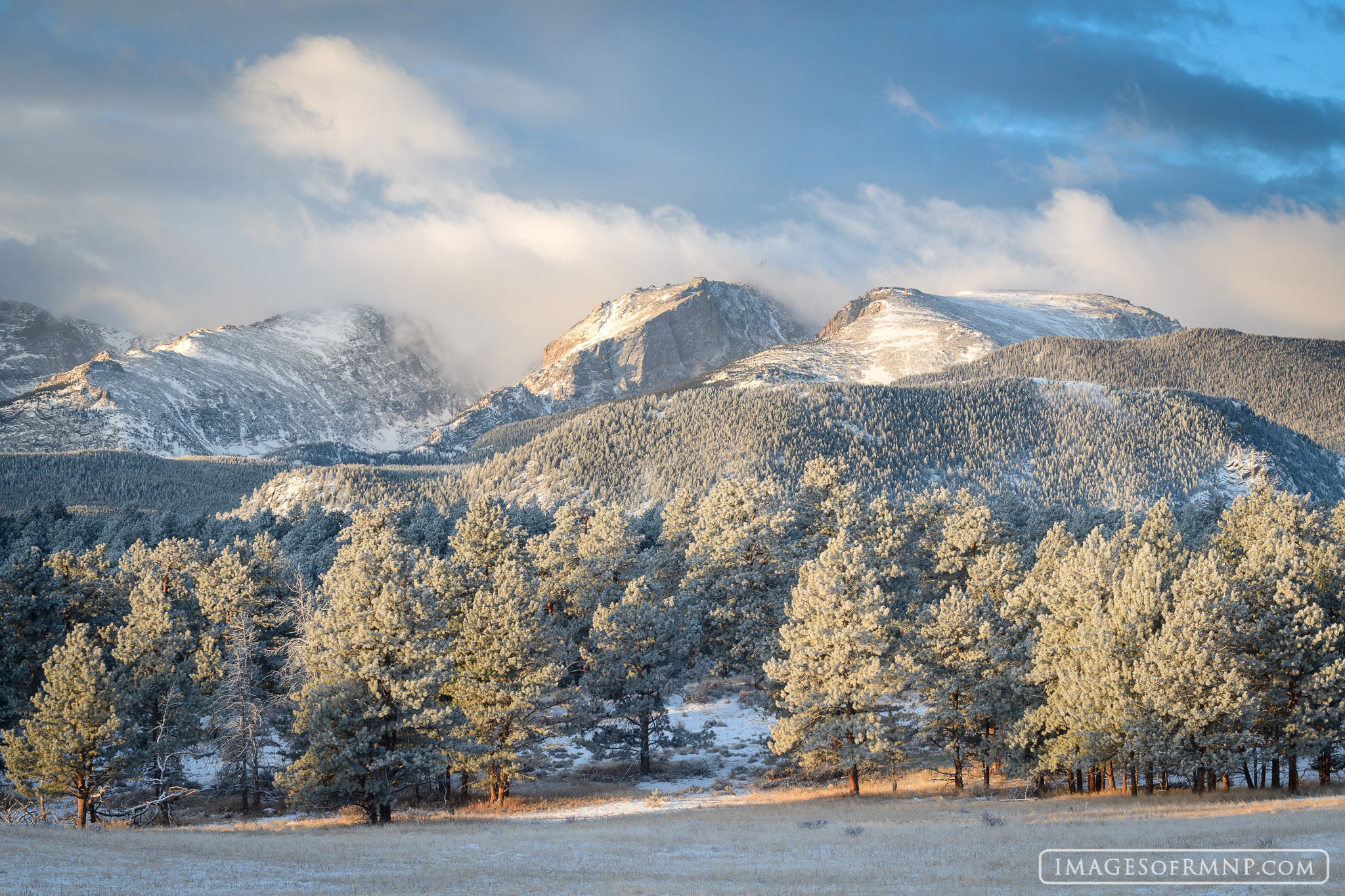 On November 11th I awoke to a fresh snow. The snowstorm which had left just a few inches on the ground during the night was breaking...