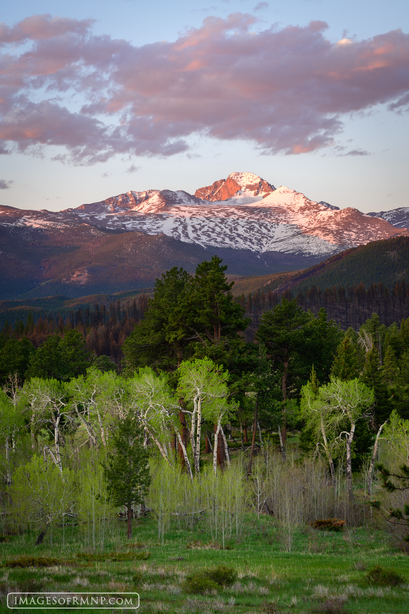 There is nothing quite like spring in Rocky Mountain National Park. You can feel the joy in the air. Bird song can be heard coming...