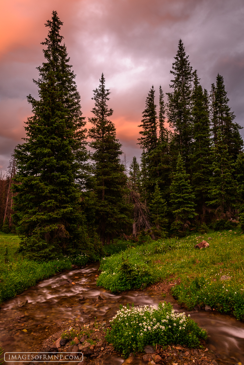 I was six miles in from the trailhead watching the sky come to life following an evening thunder storm. As I enjoyed the beauty...