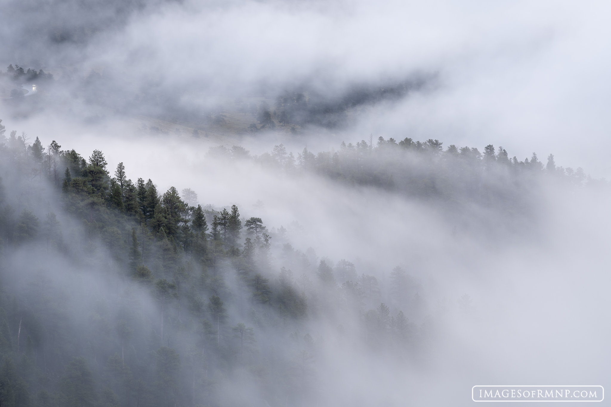 On a rainy September morning fog wafted in and out of the east side of Rocky Mountain National Park around Trail Ridge Road....