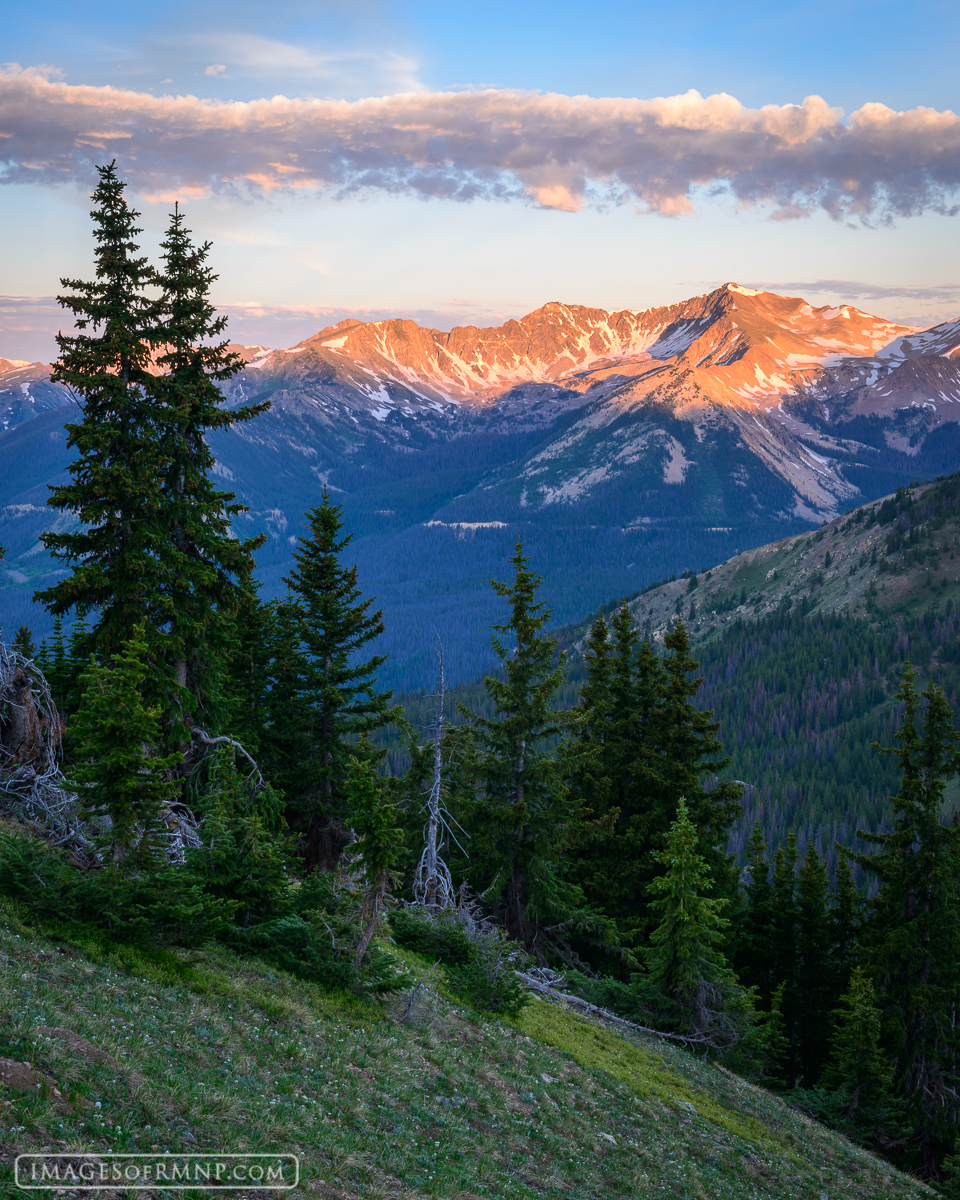 Late June looking out towards the Never Summer Mountains of Rocky Mountain National Park.