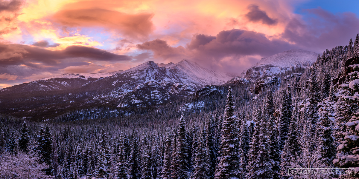 At the end of a beautiful autumn, just as most of the leaves had finally fallen a snowstorm swept into Rocky Mountain National...